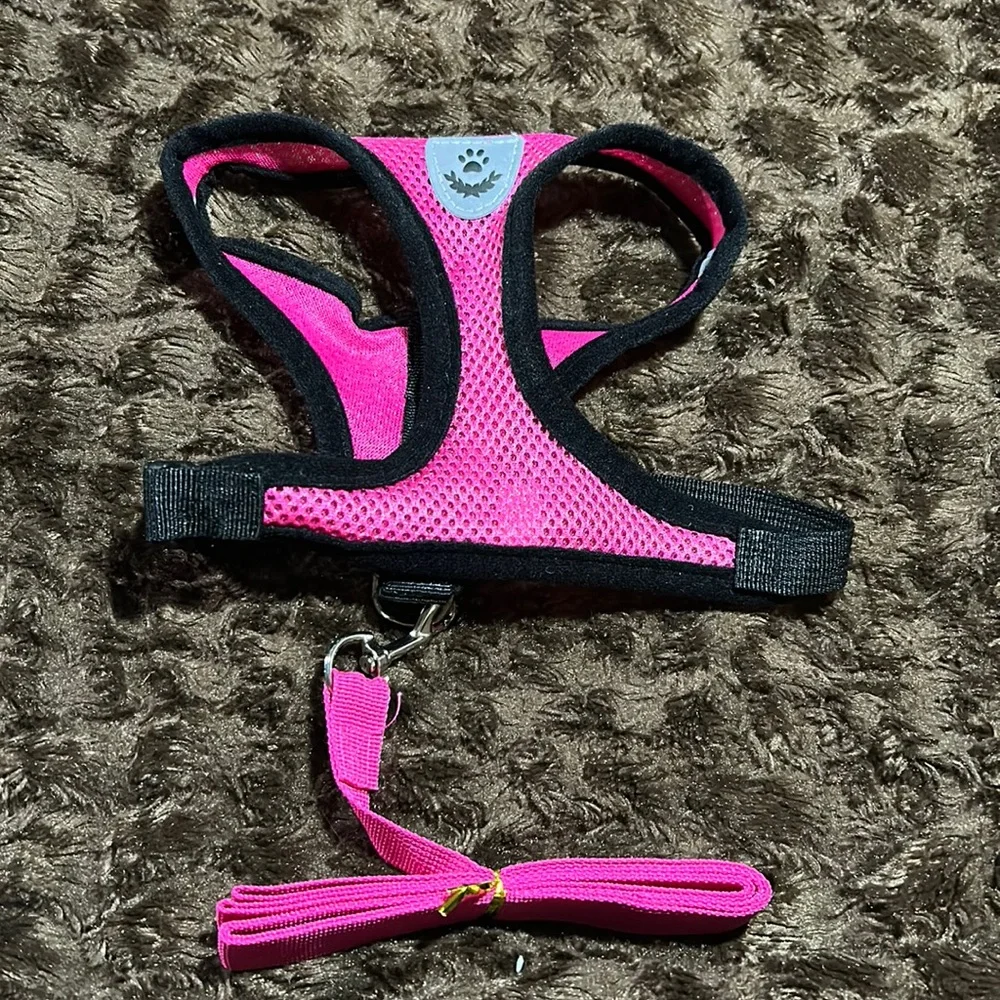 BOGO Pet Harness and Leash